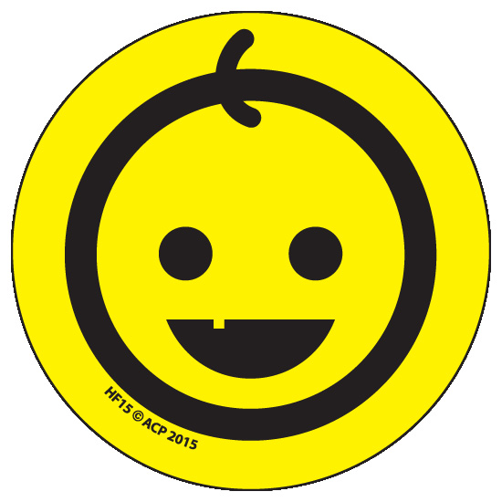 Happy Face Magnets